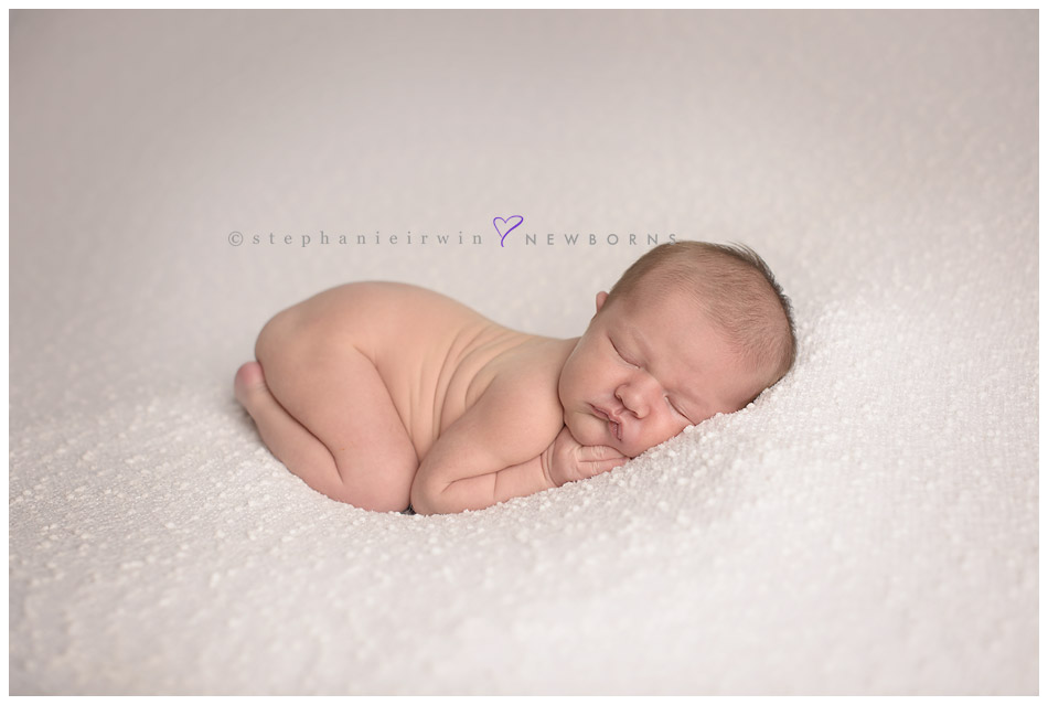 Professional Newborn Photography Toronto 6 Day Old Ella » Modern