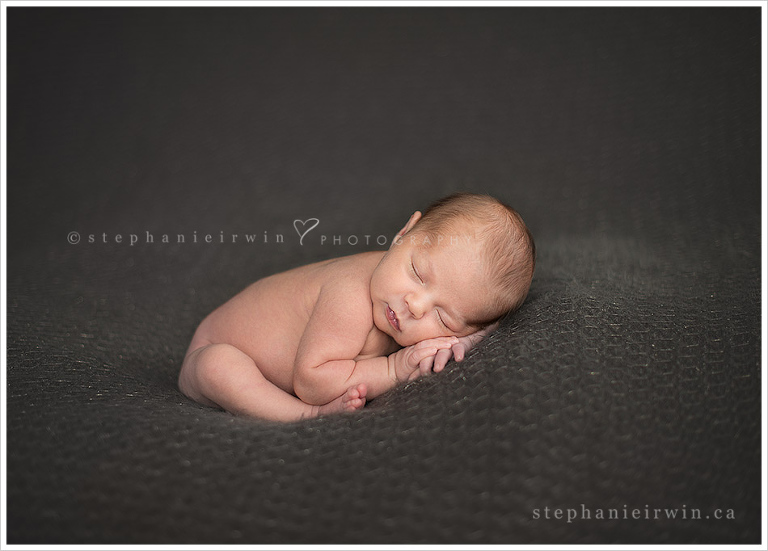 Quentin-Toronto-Newborn-Photographer