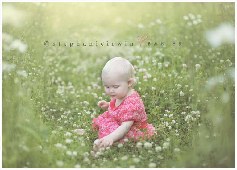 Markham Baby Photographer  |  Daydreaming of Spring