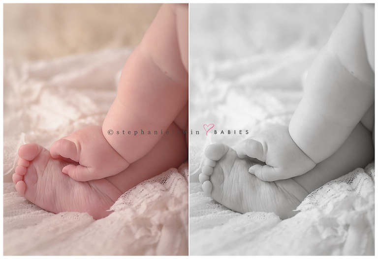 macro image during Toronto photography studio session