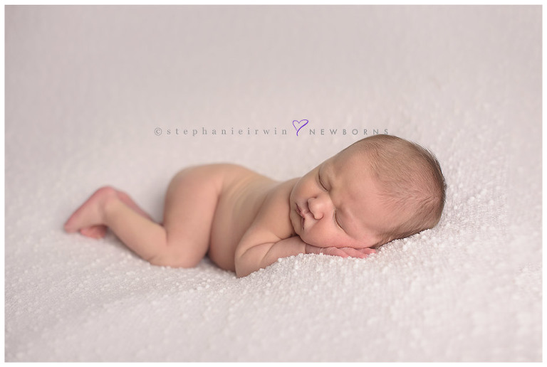 Toronto newborn photographer Stephanie Irwin